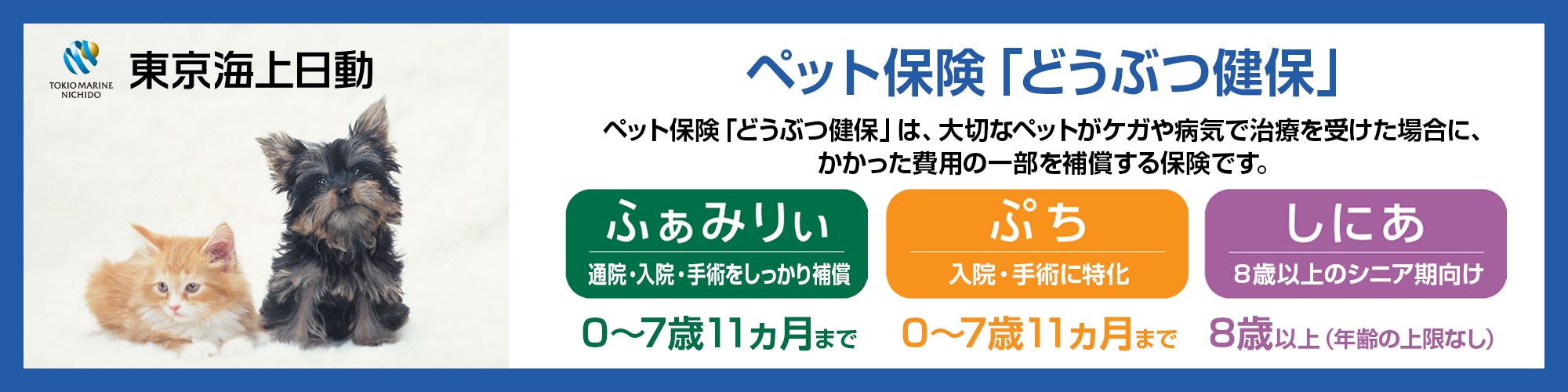 東京海上日動のペット保険